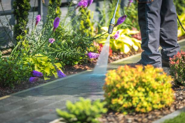 Best Gutter Cleaning  in Towaco, NJ